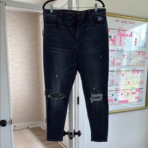 American Eagle Outfitters Blue Skinny Jeans with Stretch Denim